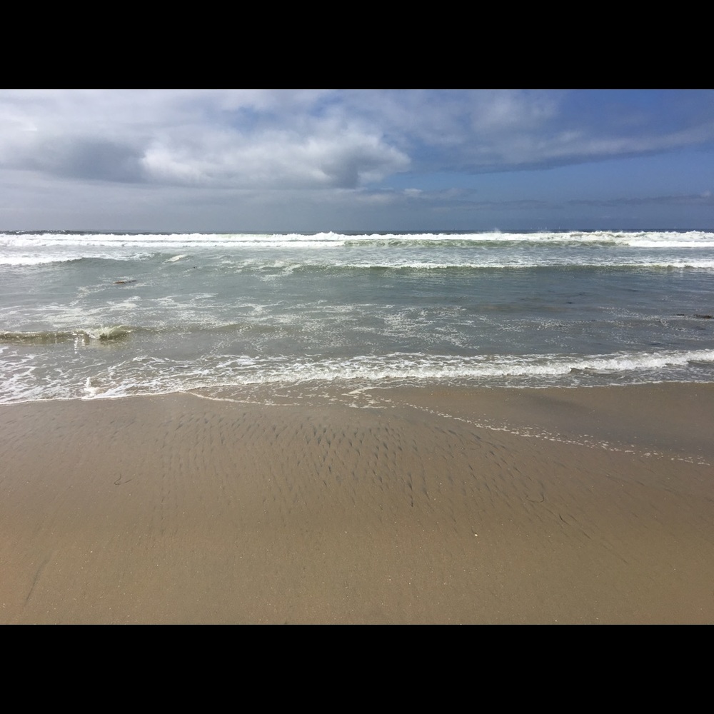 Meet your Posher, Mmichelle